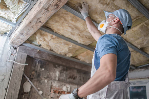 Best Commercial Insulation in Mcewen, TN