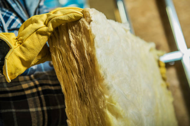 Best Eco-Friendly Insulation in Mcewen, TN