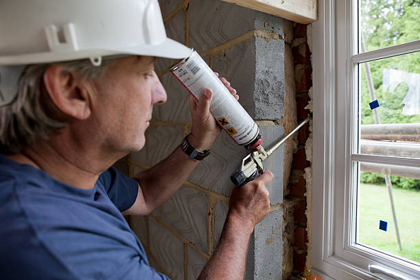 Best Eco-Friendly Insulation in Mcewen, TN