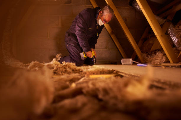 Best Energy Efficiency Insulation in Mcewen, TN